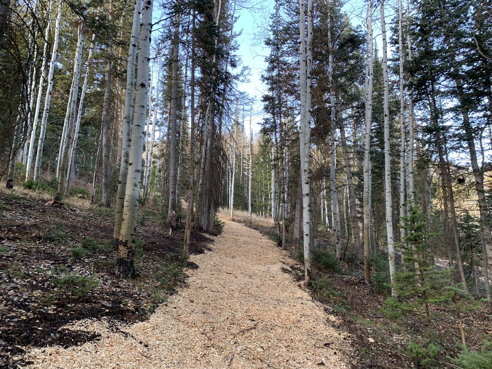 After — White Pine Canyon #19 — View 2 of 7