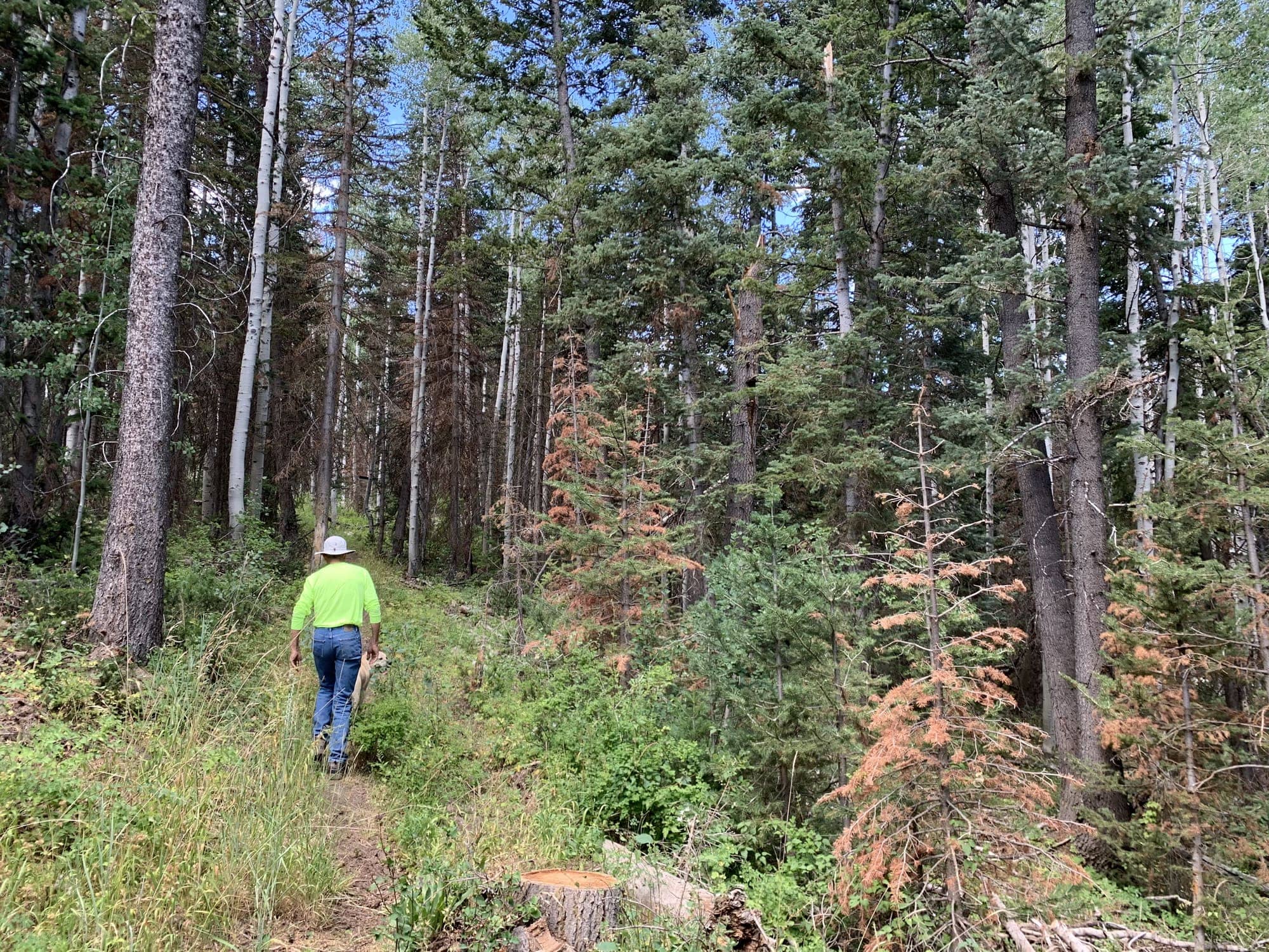Before — White Pine Canyon #19 — View 2 of 7