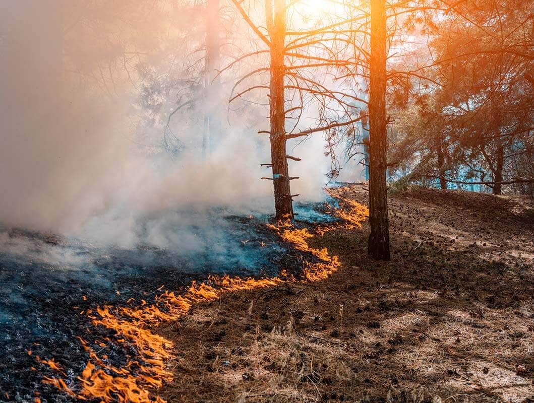 Wildfire risk