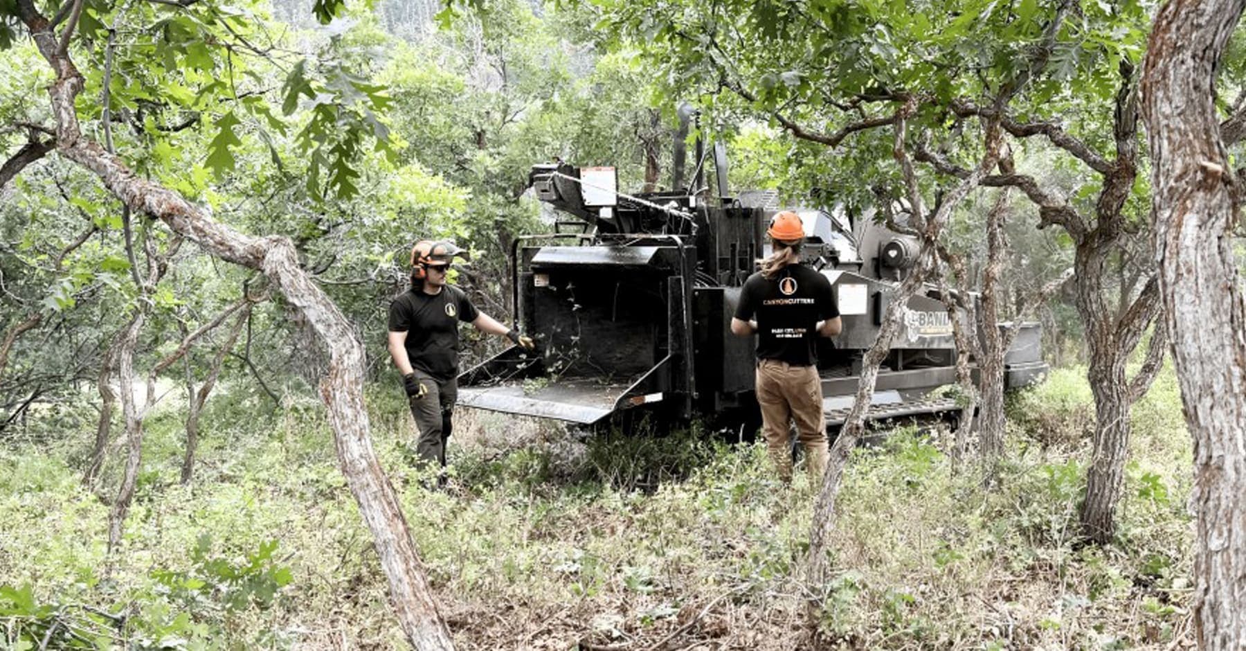 Canyon Cutters land-clearing mulcher processing brush in dense trees